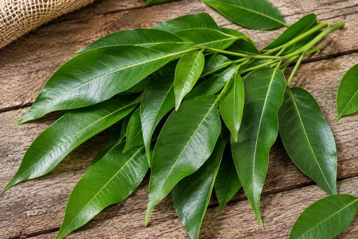 Fresh jamun leaves laid out on a wooden surface.