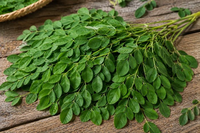 Fresh moringa leaves on the stem.